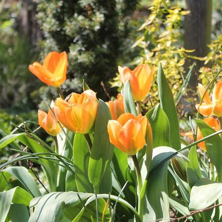 Maison Mille Fleurs Sankt Julian Екстер'єр фото