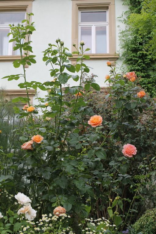 Maison Mille Fleurs Sankt Julian Екстер'єр фото