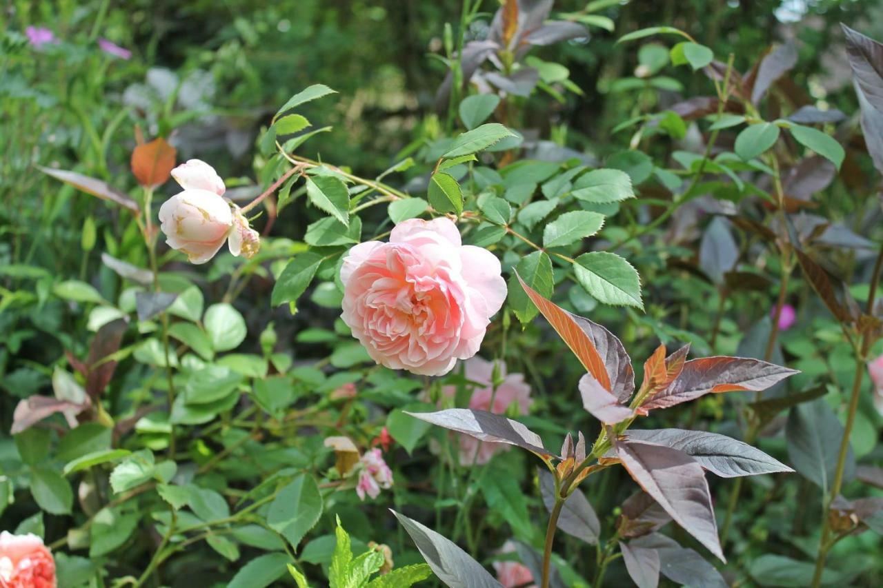 Maison Mille Fleurs Sankt Julian Екстер'єр фото